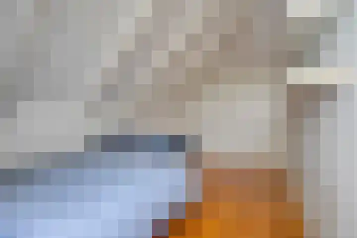 Scherpenzeelseweg 13 Wijhe thumbnail 49