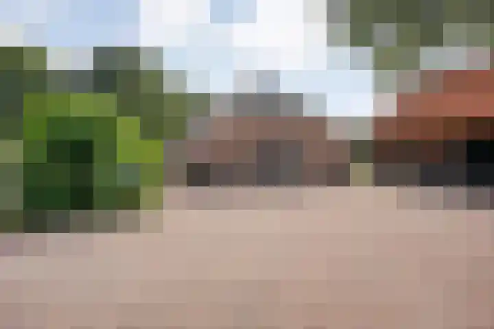 Scherpenzeelseweg 13 Wijhe thumbnail 5
