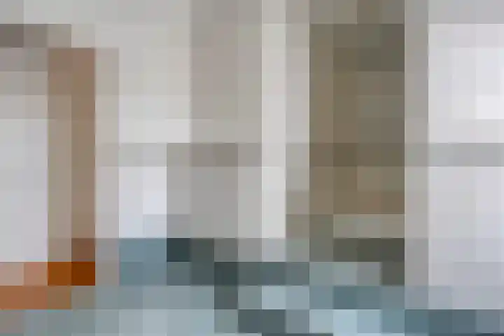 Scherpenzeelseweg 13 Wijhe thumbnail 51