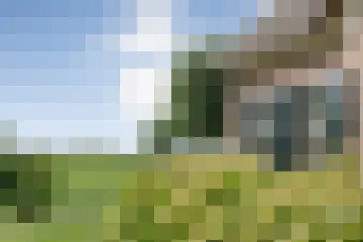 Scherpenzeelseweg 13 Wijhe thumbnail 53