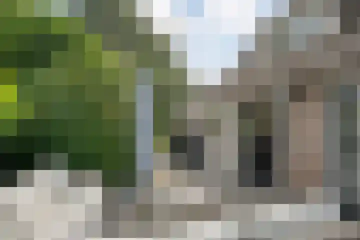 Scherpenzeelseweg 13 Wijhe thumbnail 54