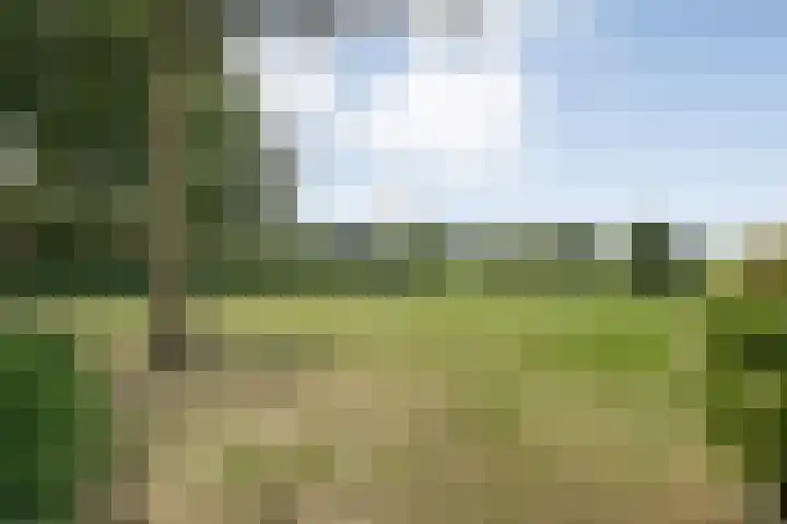 Scherpenzeelseweg 13 Wijhe thumbnail 55