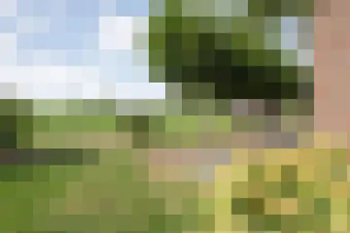 Scherpenzeelseweg 13 Wijhe thumbnail 56