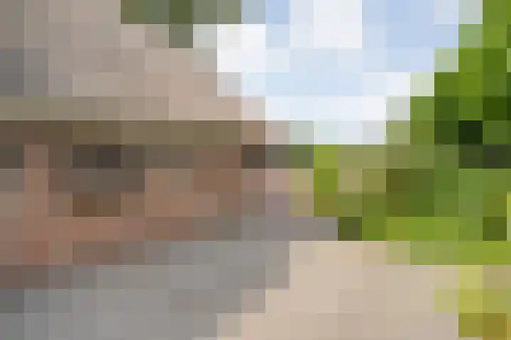 Scherpenzeelseweg 13 Wijhe thumbnail 57