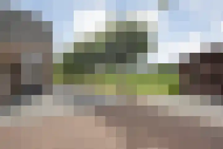 Scherpenzeelseweg 13 Wijhe thumbnail 58
