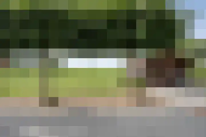 Scherpenzeelseweg 13 Wijhe thumbnail 59