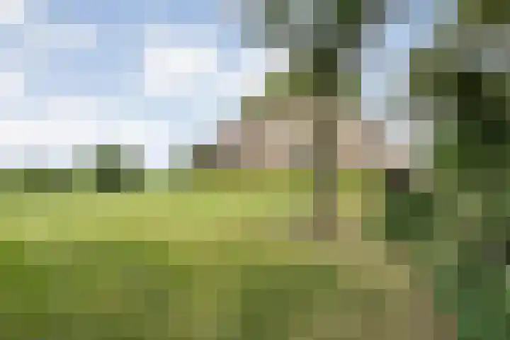 Scherpenzeelseweg 13 Wijhe thumbnail 6