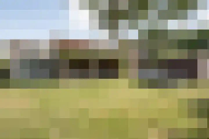 Scherpenzeelseweg 13 Wijhe thumbnail 60