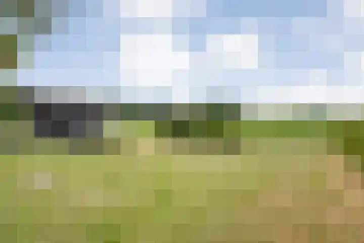 Scherpenzeelseweg 13 Wijhe thumbnail 61