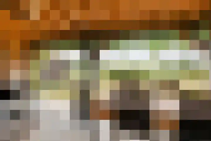 Scherpenzeelseweg 13 Wijhe thumbnail 62