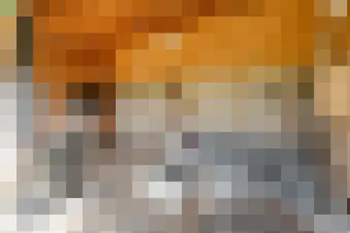 Scherpenzeelseweg 13 Wijhe thumbnail 63