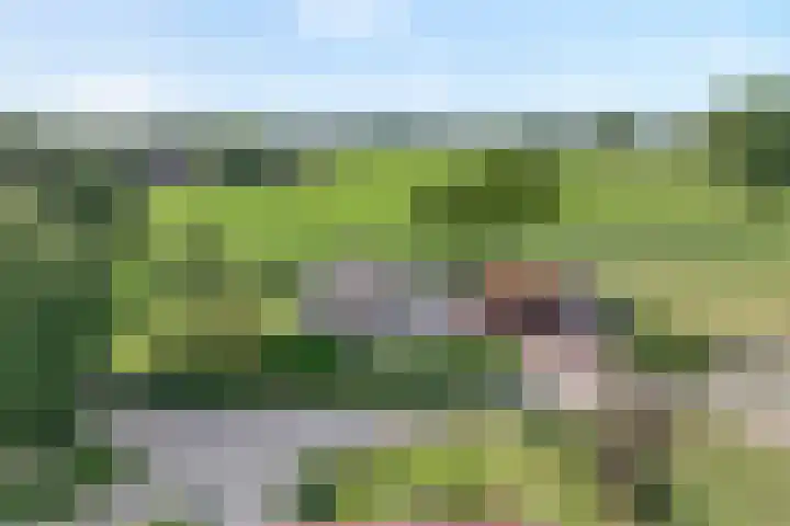 Scherpenzeelseweg 13 Wijhe thumbnail 64
