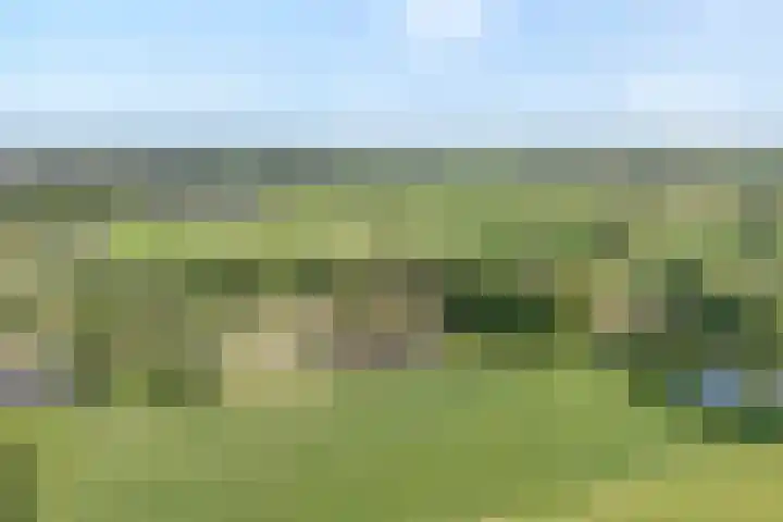 Scherpenzeelseweg 13 Wijhe thumbnail 66