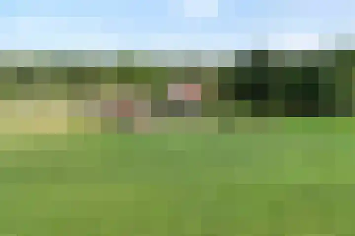 Scherpenzeelseweg 13 Wijhe thumbnail 68