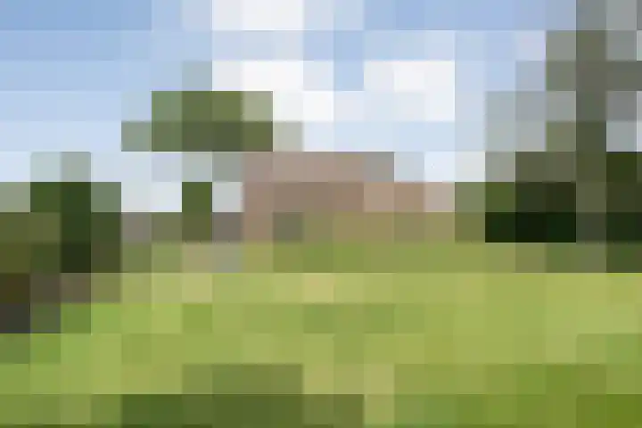 Scherpenzeelseweg 13 Wijhe thumbnail 7