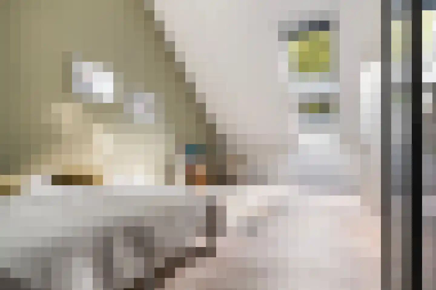 Scherpenzeelseweg 43 Goor thumbnail 18