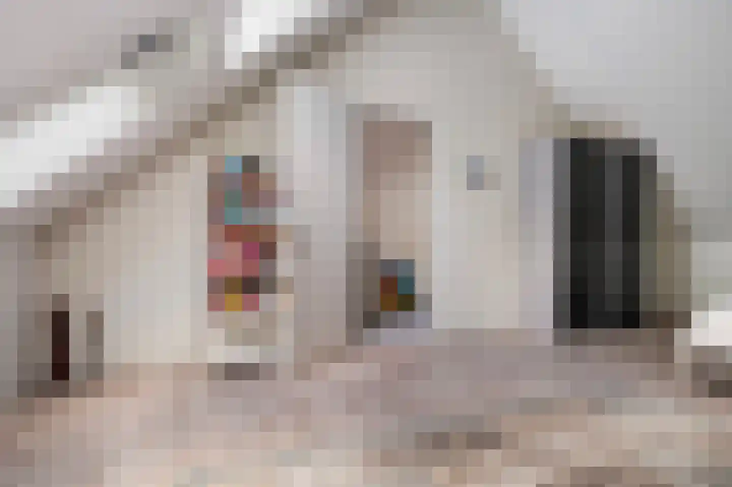 Scherpenzeelseweg 43 Goor thumbnail 22