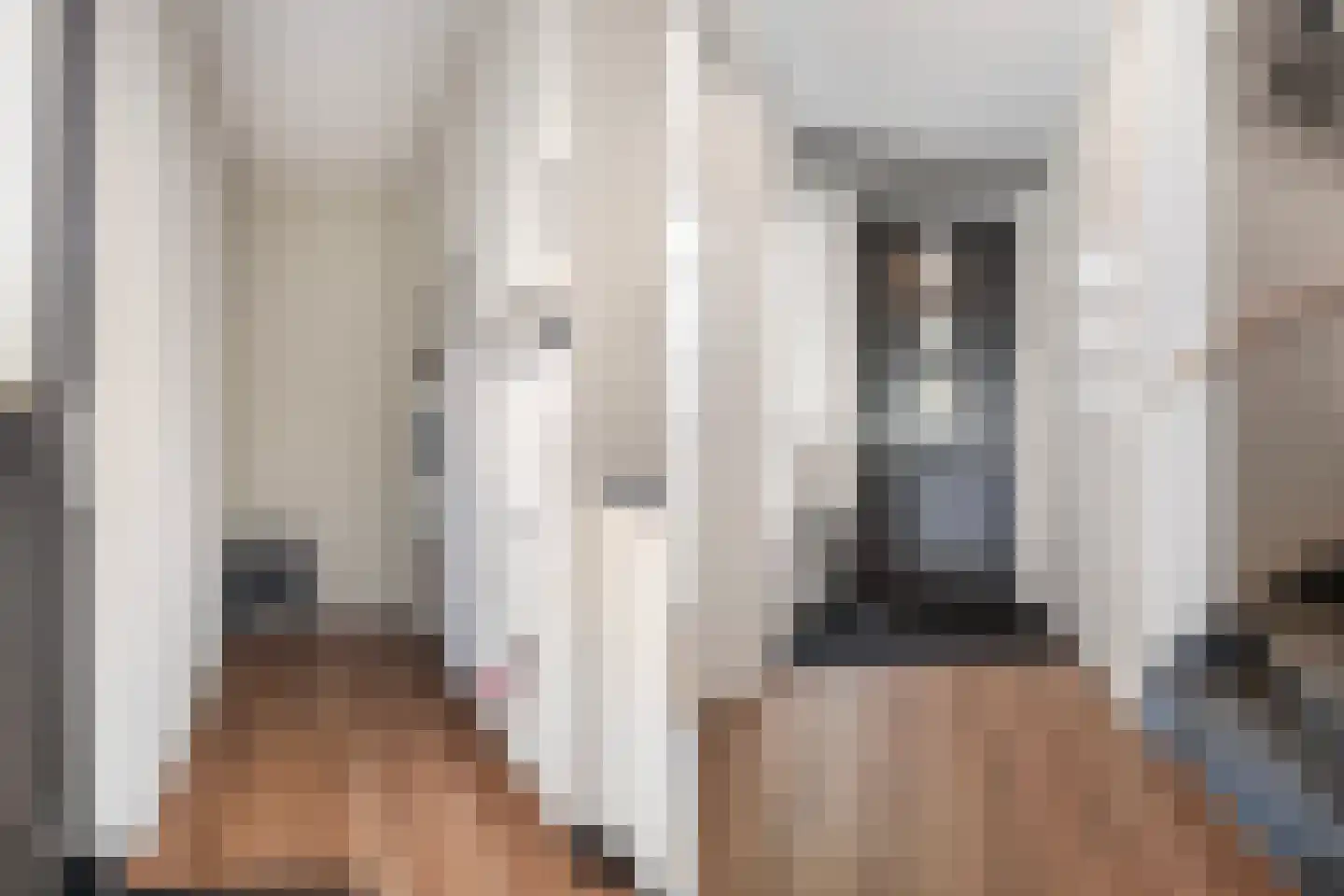 Scherpenzeelseweg 43 Goor thumbnail 6