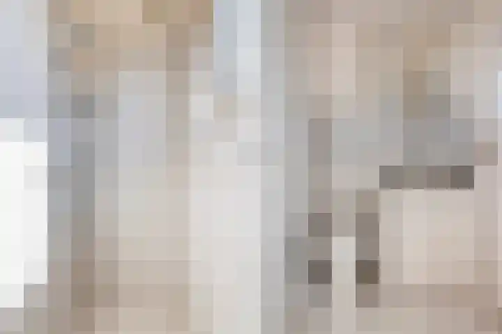 Scherpenzeelseweg 50 Goor thumbnail 20