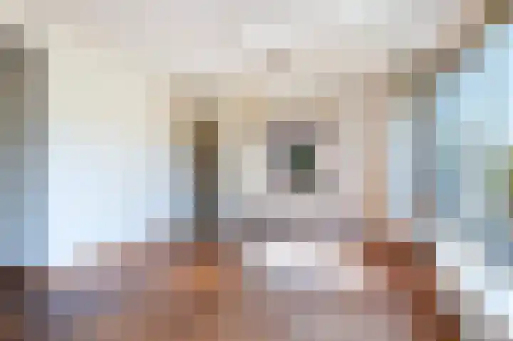 Scherpenzeelseweg 50 Goor thumbnail 21