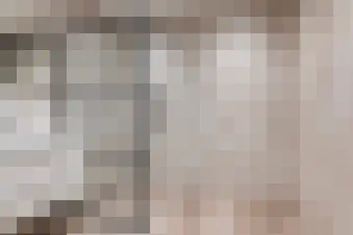 Scherpenzeelseweg 50 Goor thumbnail 25