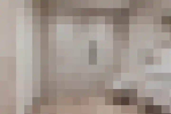 Scherpenzeelseweg 50 Goor thumbnail 26