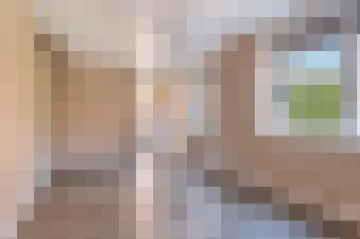 Scherpenzeelseweg 50 Goor thumbnail 28
