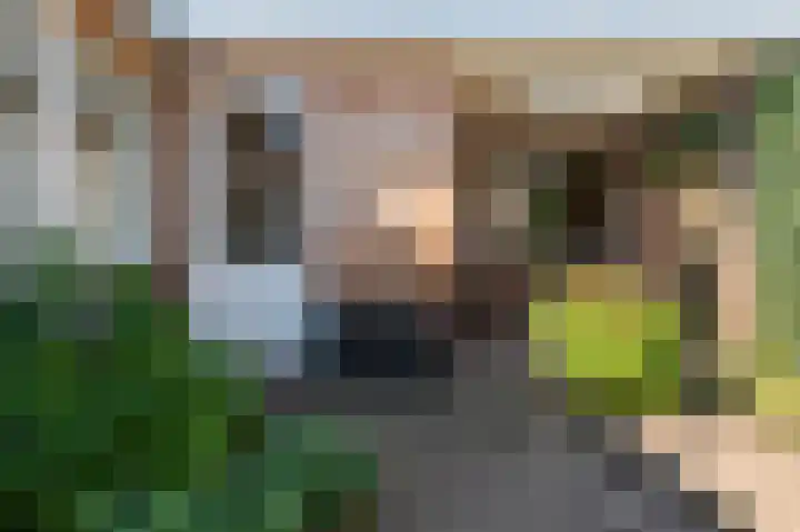 Scherpenzeelseweg 50 Goor thumbnail 4