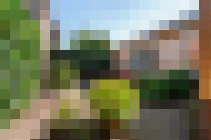 Scherpenzeelseweg 50 Goor thumbnail 6