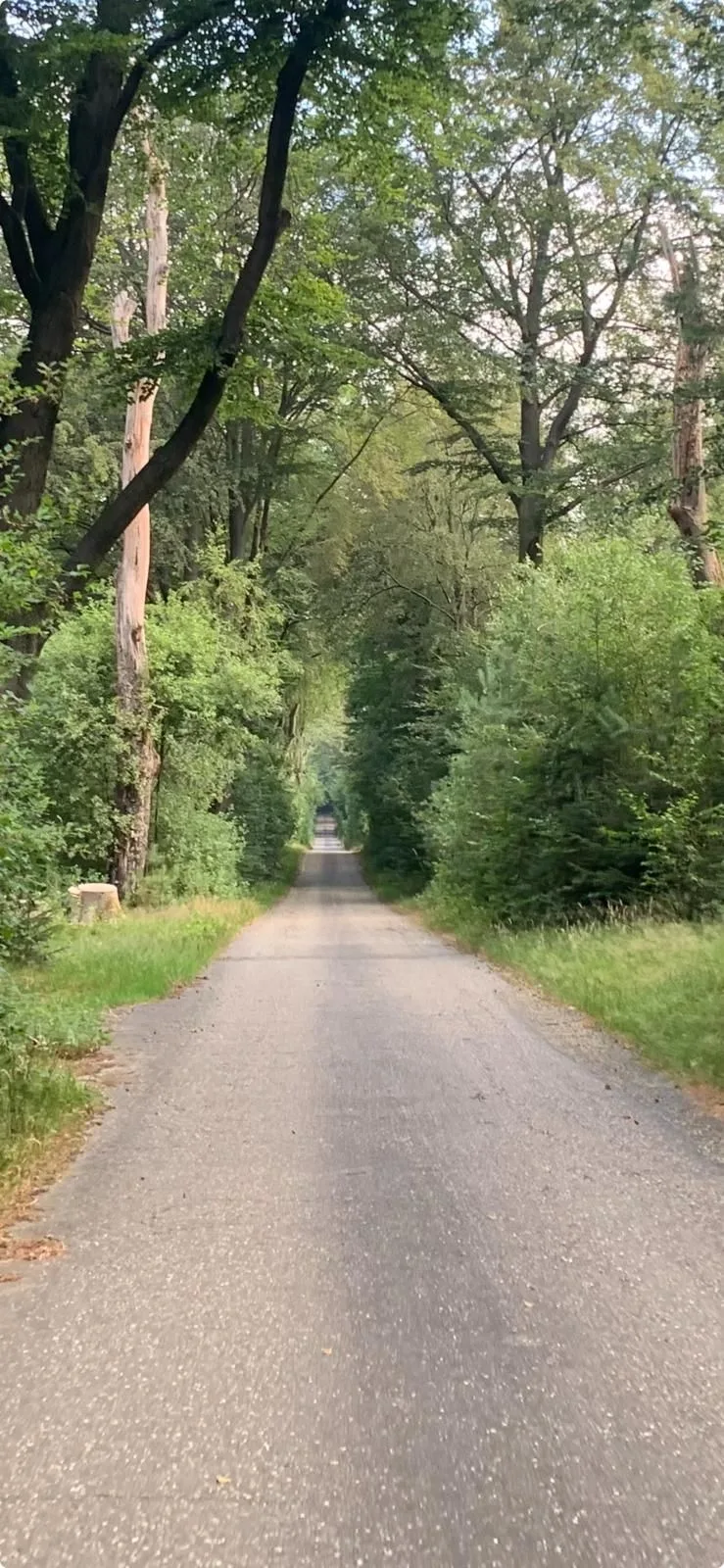 Scherpenzeelseweg 90 Leersum thumbnail 19
