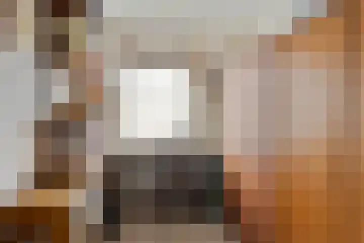 Scherpenzeelseweg 94 Goor thumbnail 16
