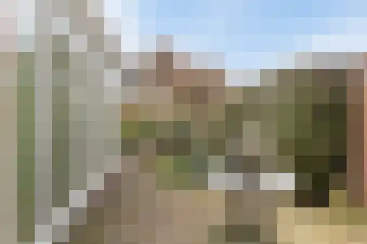 Scherpenzeelseweg 94 Goor thumbnail 21