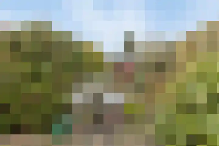 Scherpenzeelseweg 94 Goor thumbnail 22