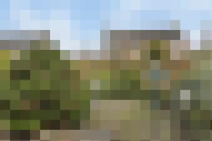 Scherpenzeelseweg 94 Goor thumbnail 23