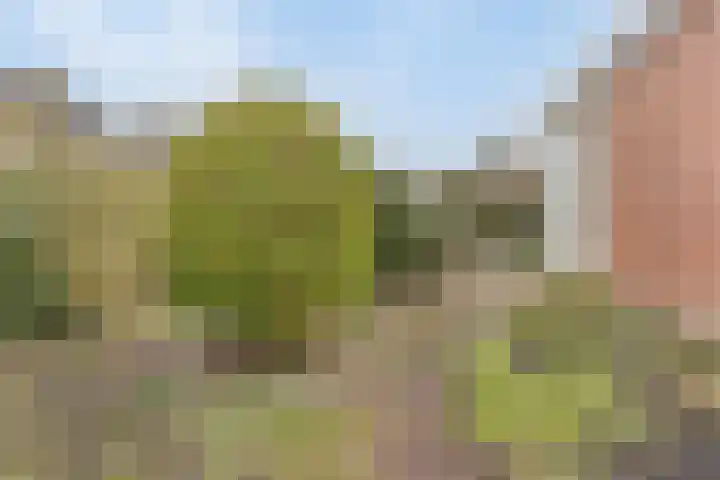 Scherpenzeelseweg 94 Goor thumbnail 24