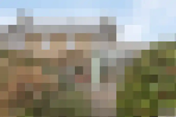 Scherpenzeelseweg 94 Goor thumbnail 25