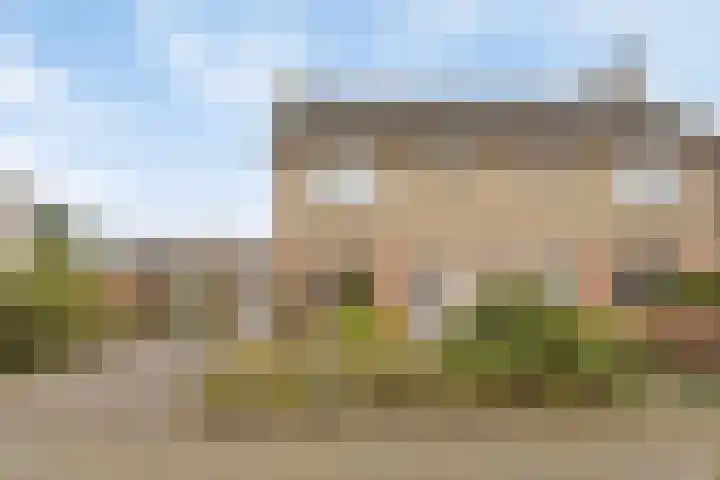 Scherpenzeelseweg 94 Goor thumbnail 26