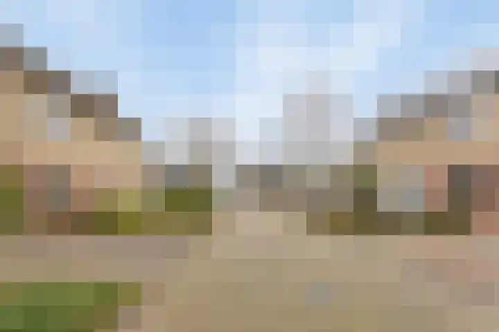 Scherpenzeelseweg 94 Goor thumbnail 27