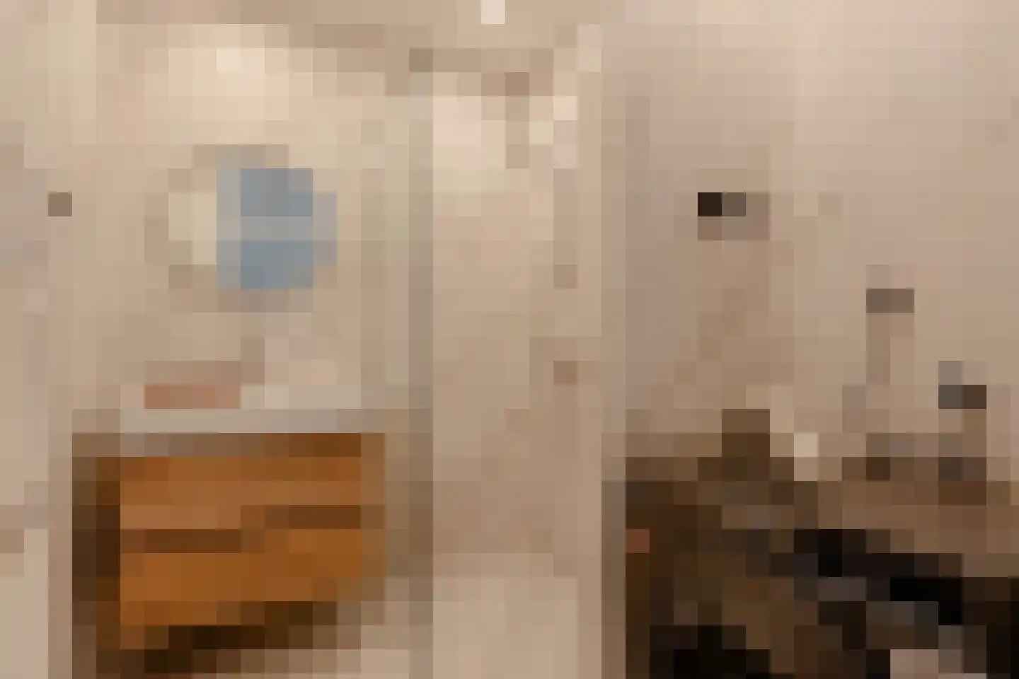 Scherpenzeelstraat 109 Amsterdam thumbnail 18