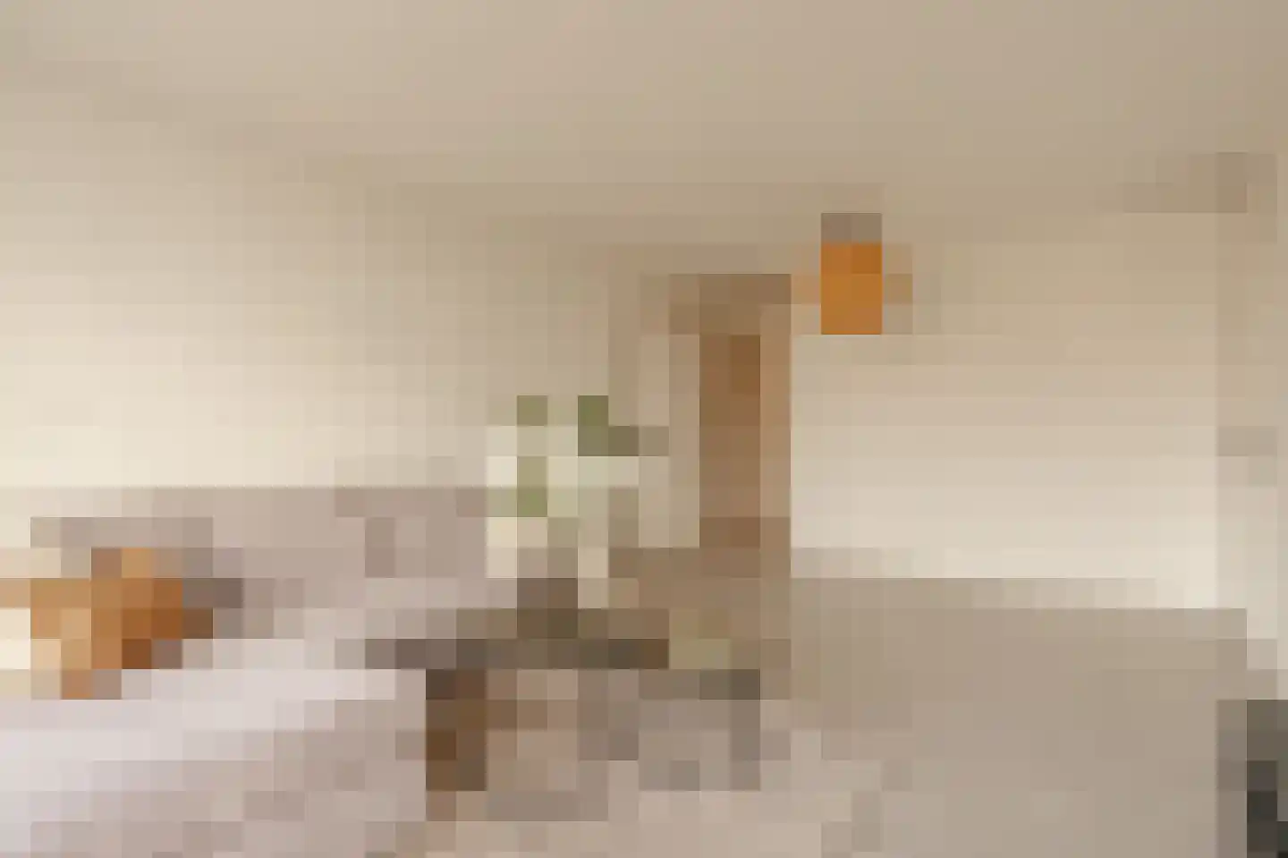 Scherpenzeelstraat 109 Amsterdam thumbnail 6