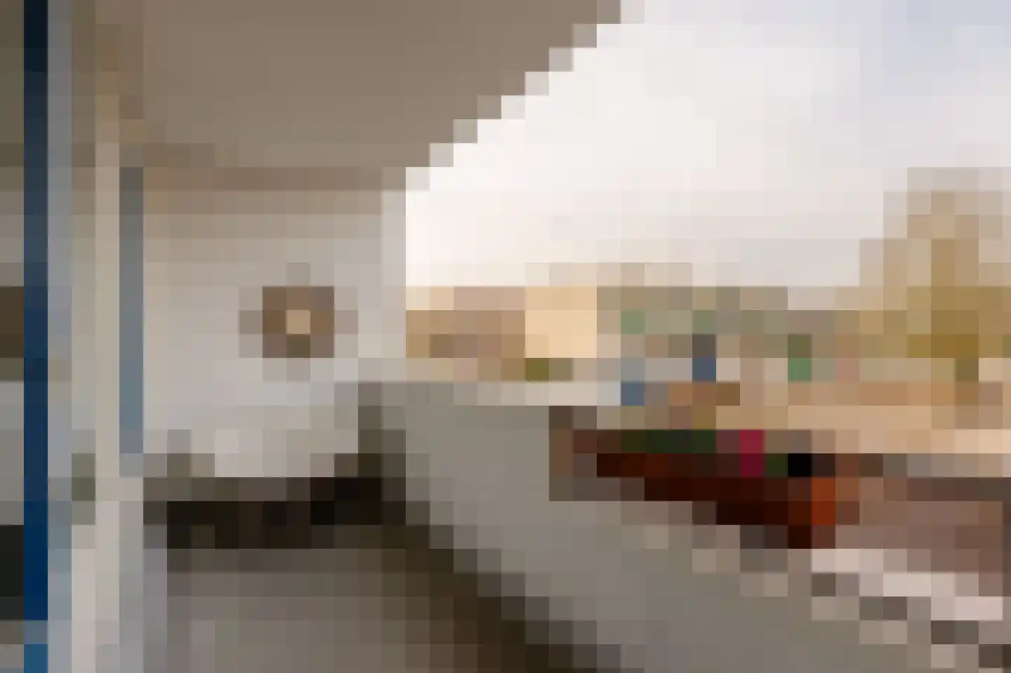 Scherpenzeelstraat 109 Amsterdam thumbnail 9