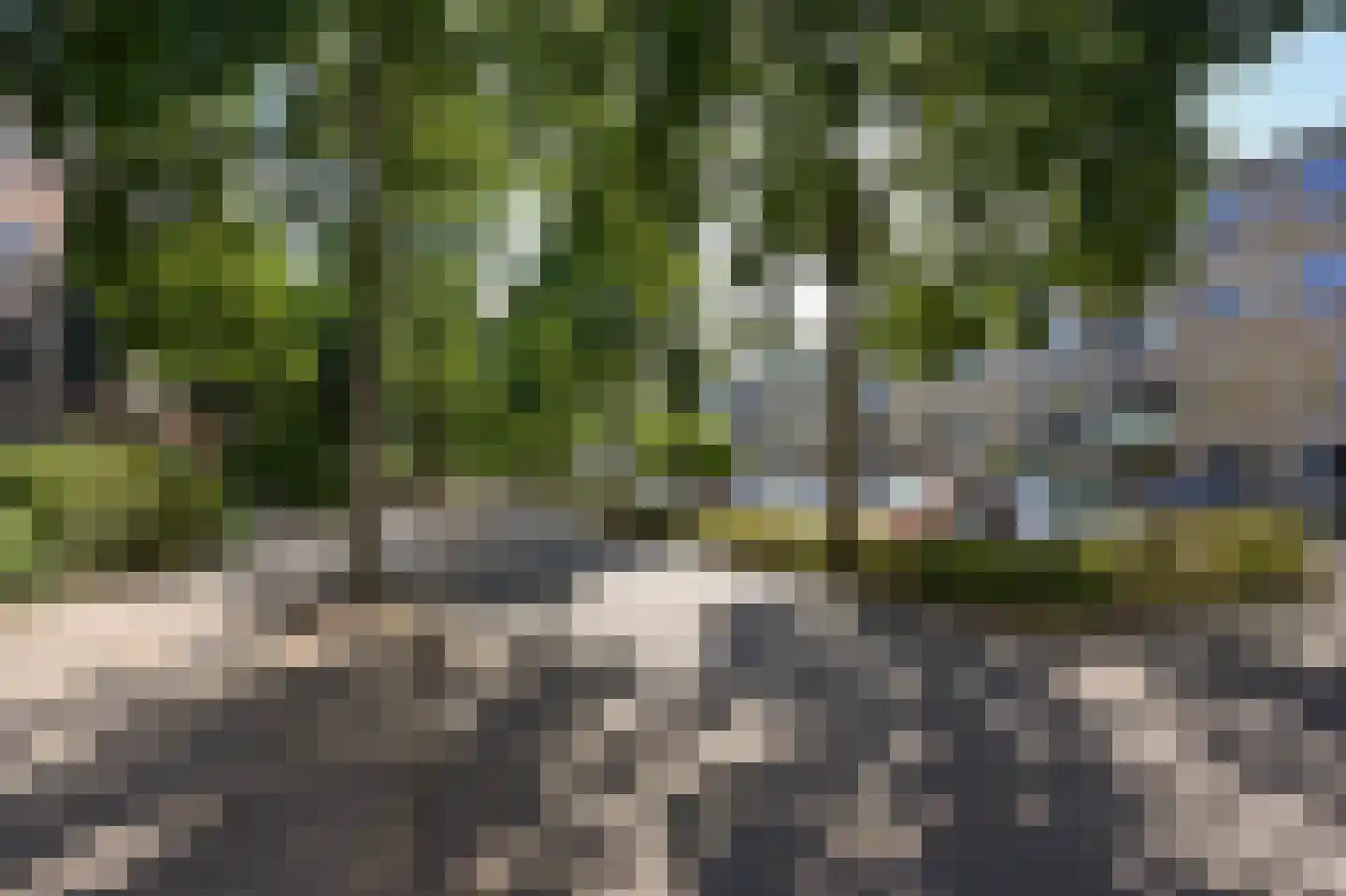 Scherpenzeelstraat 125 Amsterdam thumbnail 30