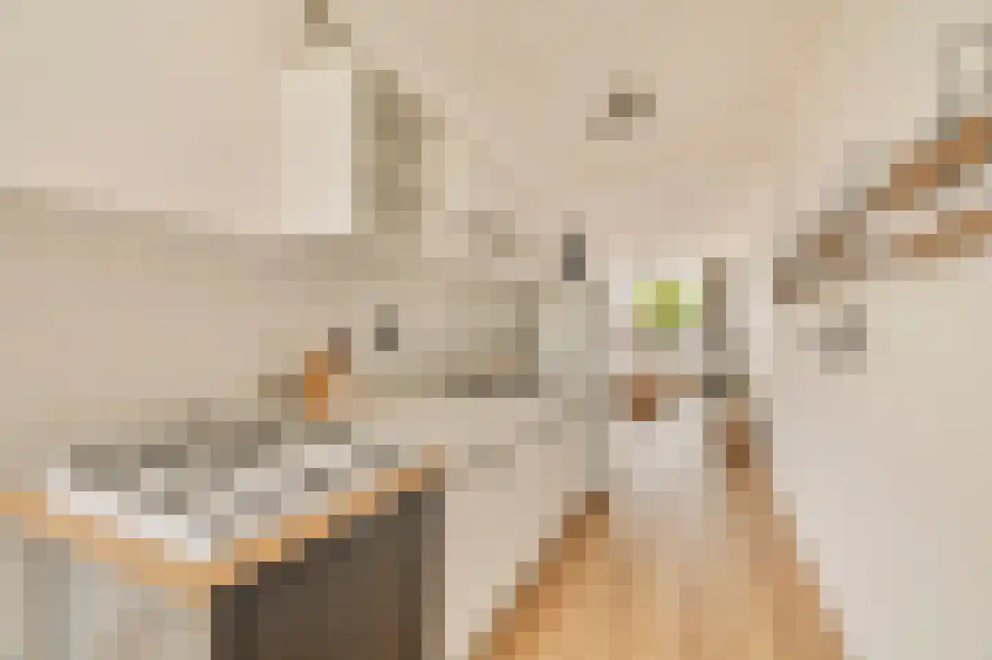 Scherpenzeelstraat 139 Amsterdam thumbnail 16