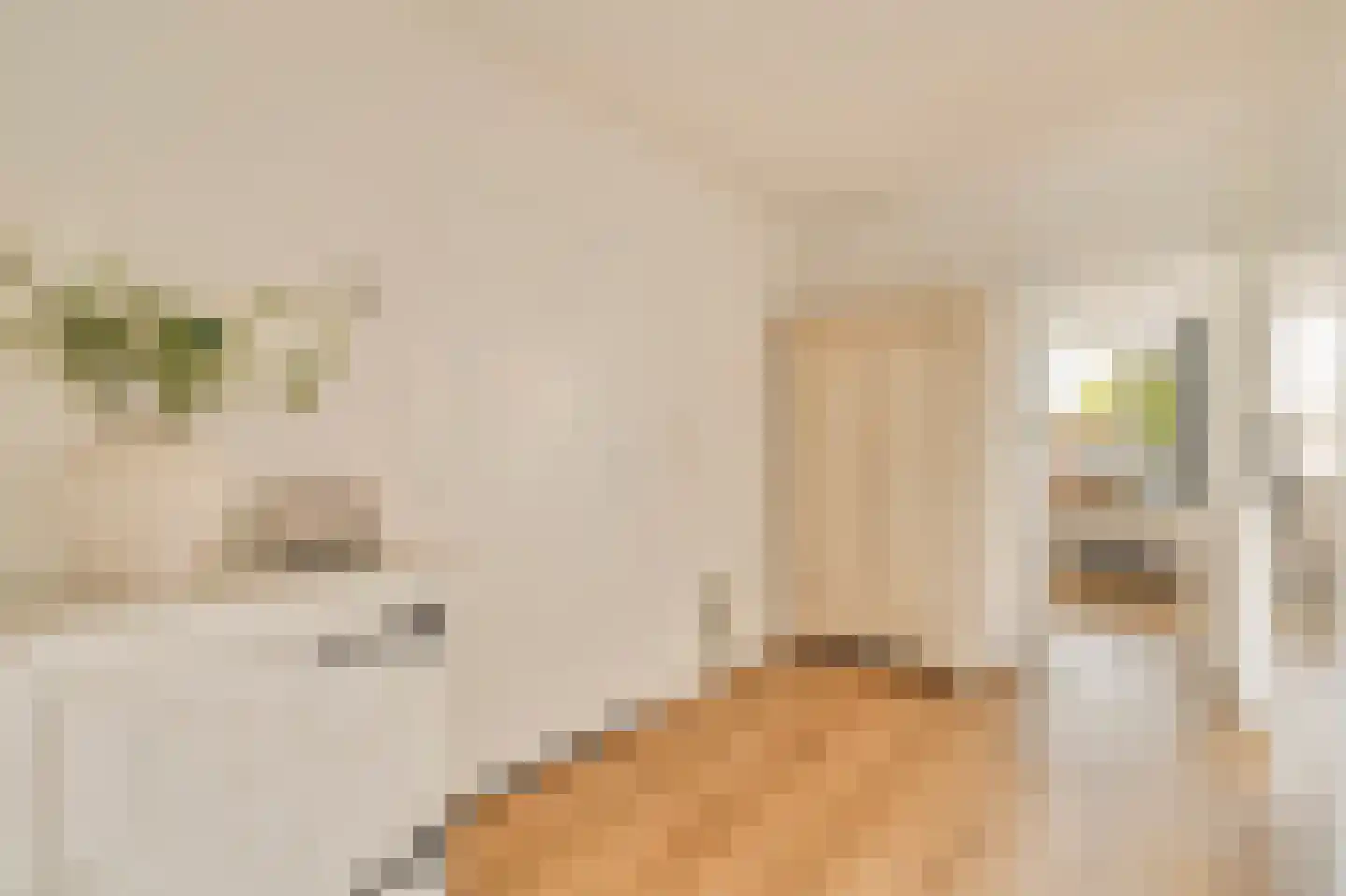 Scherpenzeelstraat 139 Amsterdam thumbnail 17