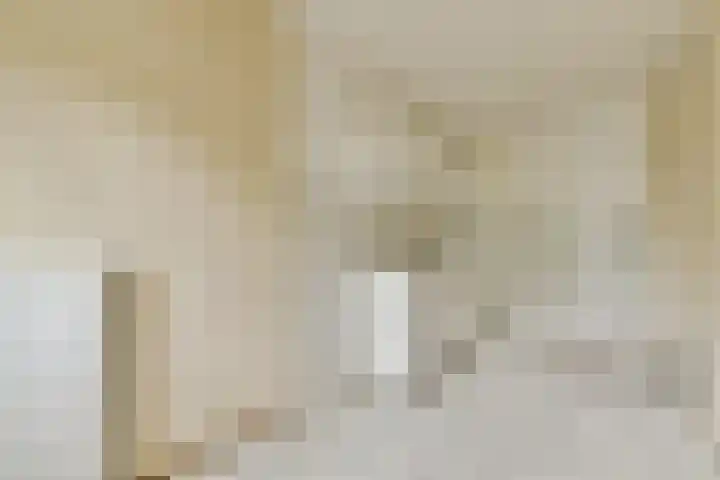 Scherpenzeelstraat 21 Amsterdam thumbnail 16