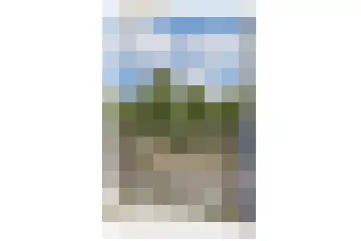 Scherpenzeelstraat 21 Amsterdam thumbnail 17