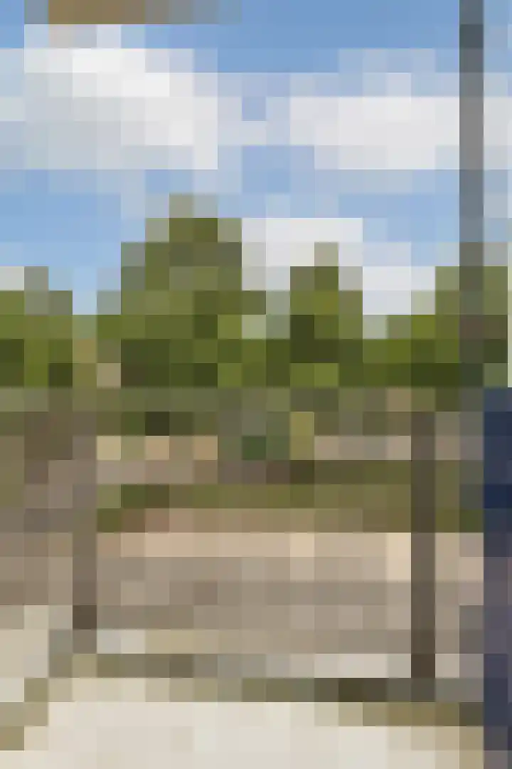 Scherpenzeelstraat 21 Amsterdam thumbnail 18