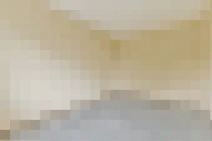Scherpenzeelstraat 21 Amsterdam thumbnail 21