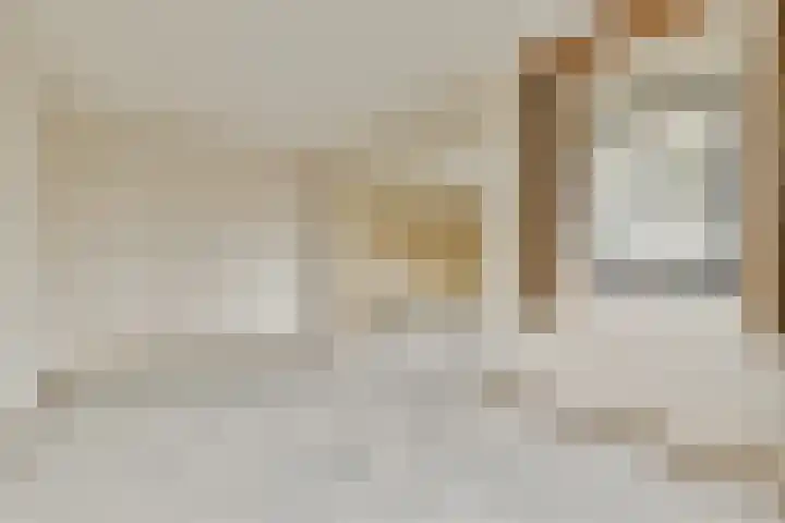 Scherpenzeelstraat 21 Amsterdam thumbnail 9