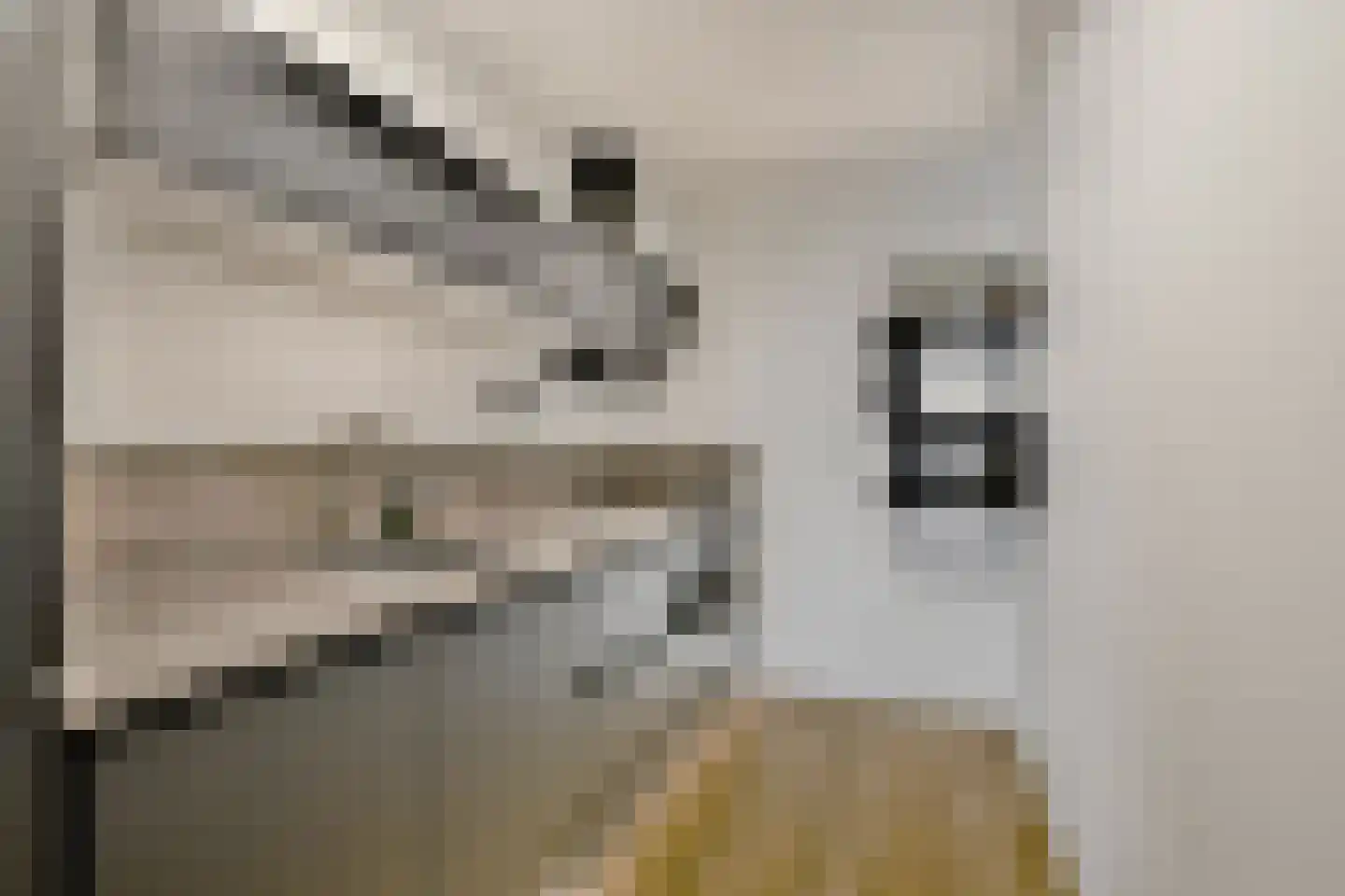Scherpenzeelstraat 61 Amsterdam thumbnail 10